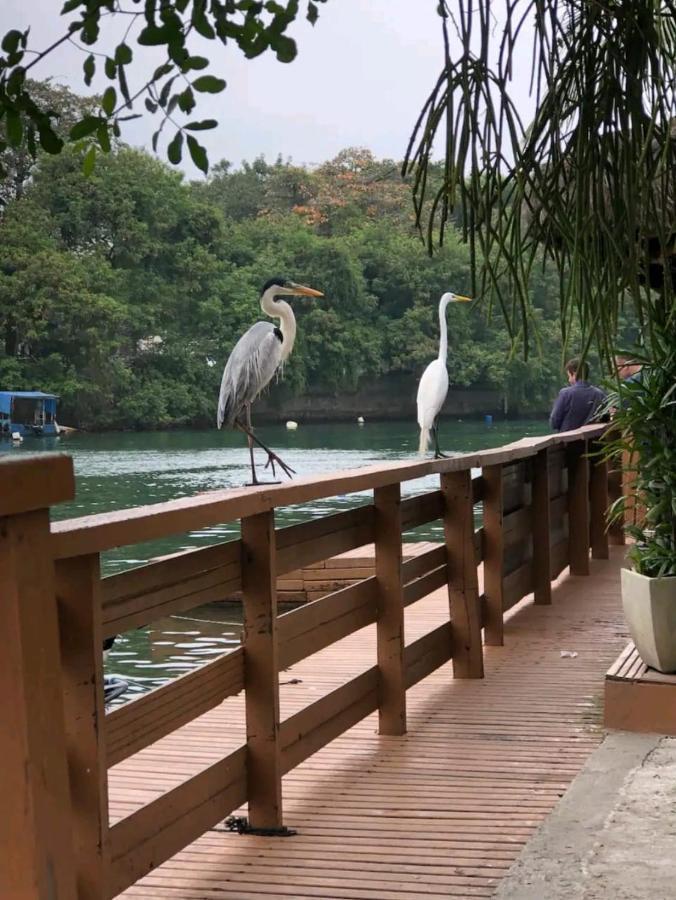 Apartamento Barra Da Tijuca Rio De Janeiro Ilha Da Gigoia Exterior foto